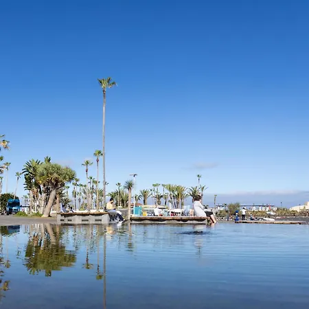 Casona Charco, Stylish & Spacious With Private Patio In Historic Puerto Апартаменты Пуэрто-де-ла-Крус